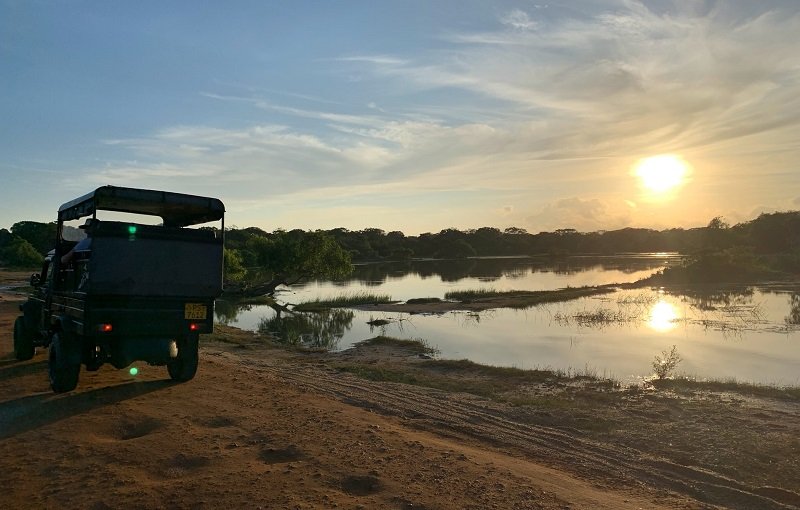 Colombo Airport To Wilpattu National Park