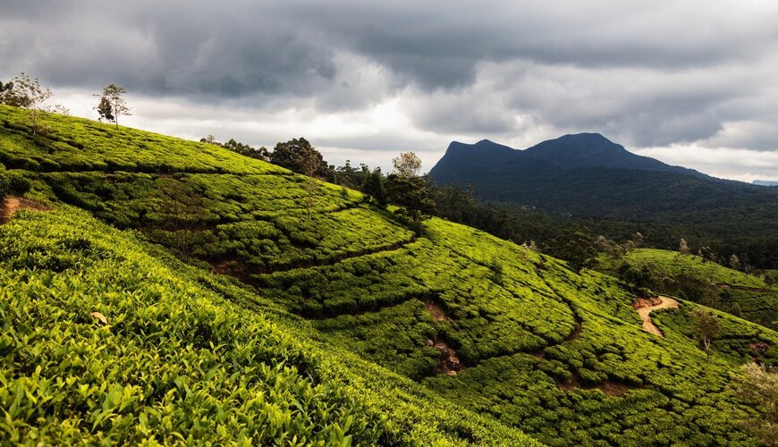 Nuwara Eliya