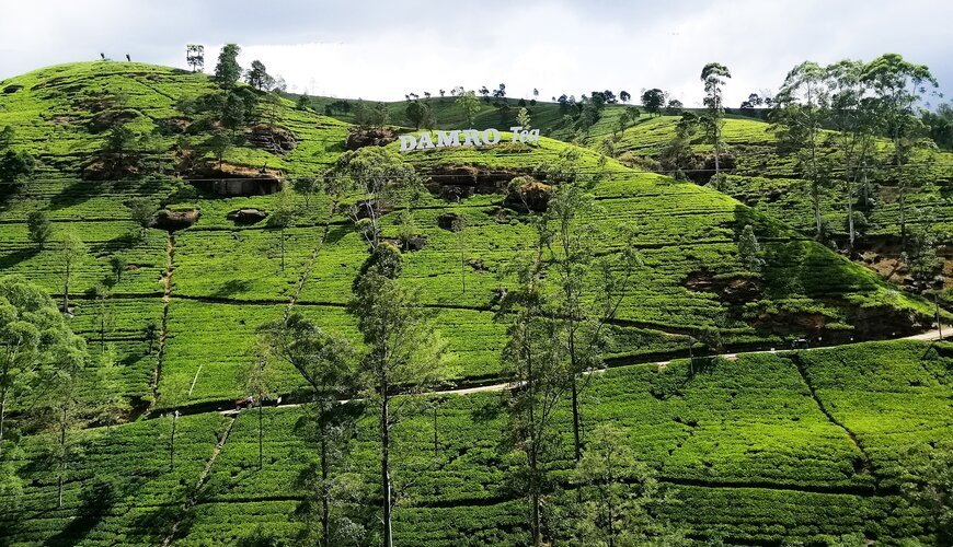 Nuwara Eliya