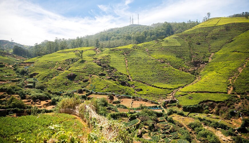 Nuwara Eliya