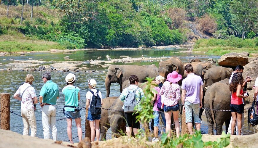 Pinnawala Elephant Orphanage