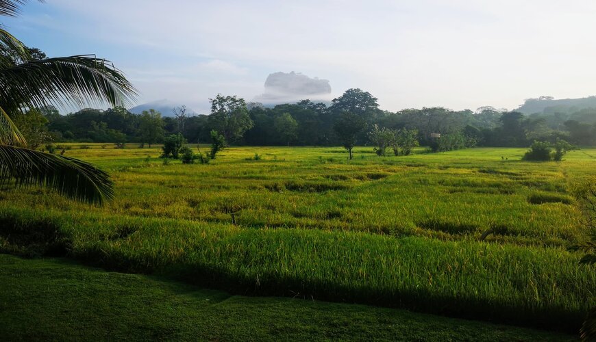 Sigiriya