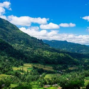 Sri Lanka In August