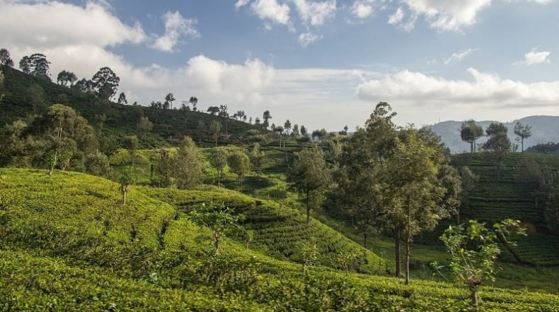 Sri Lanka or Vietnam